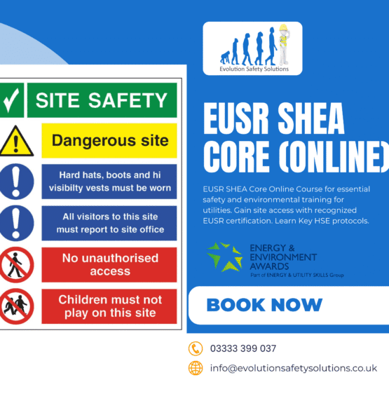 shea core online course