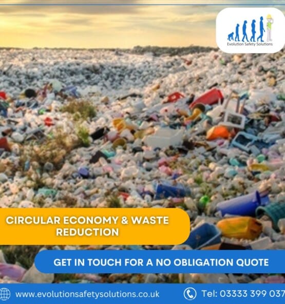 Circular Economy and Waste Reduction