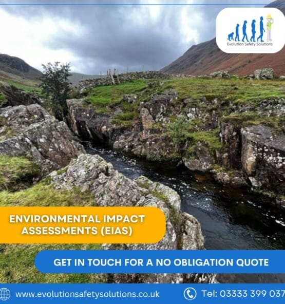 Environmental Impact Assessments