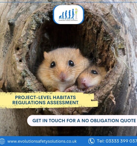 Habitats Regulations Assessment