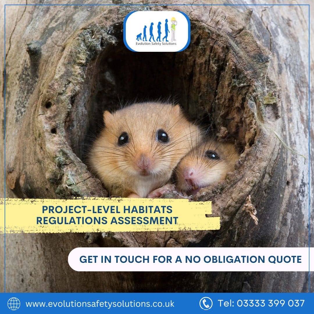 Habitats Regulations Assessment