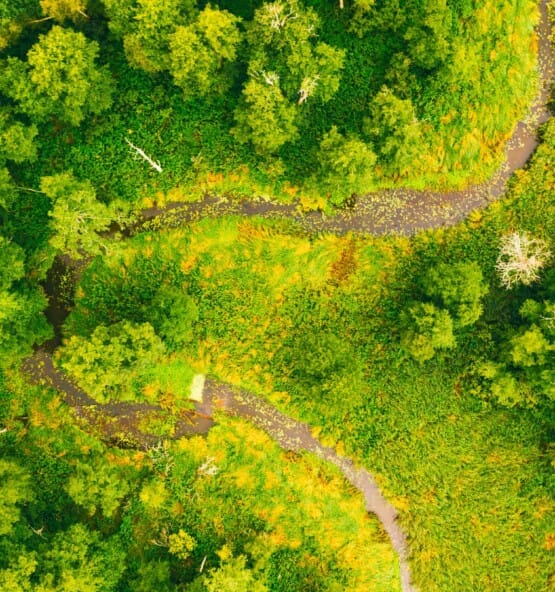 Habitats Regulations Assessment