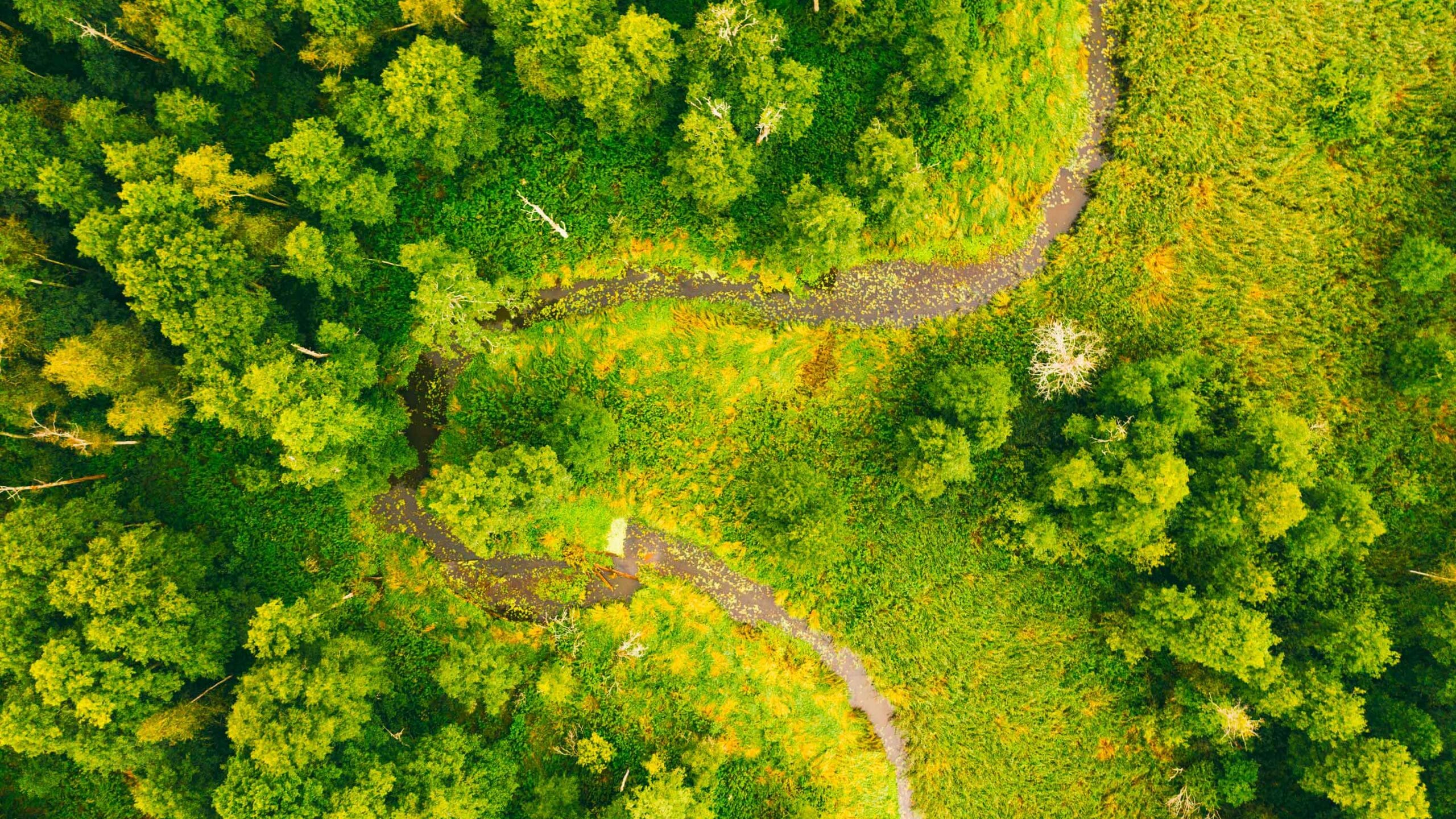 Habitats Regulations Assessment