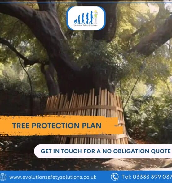 Tree Protection Plan