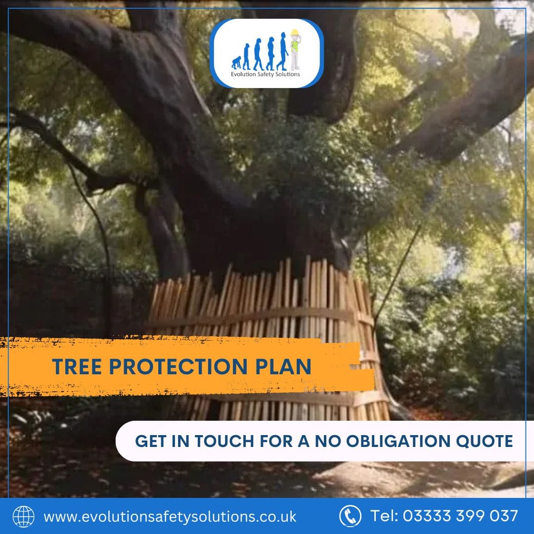 Tree Protection Plan