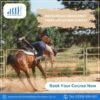 Equestrian First Aid Training