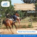 Equestrian First Aid Training