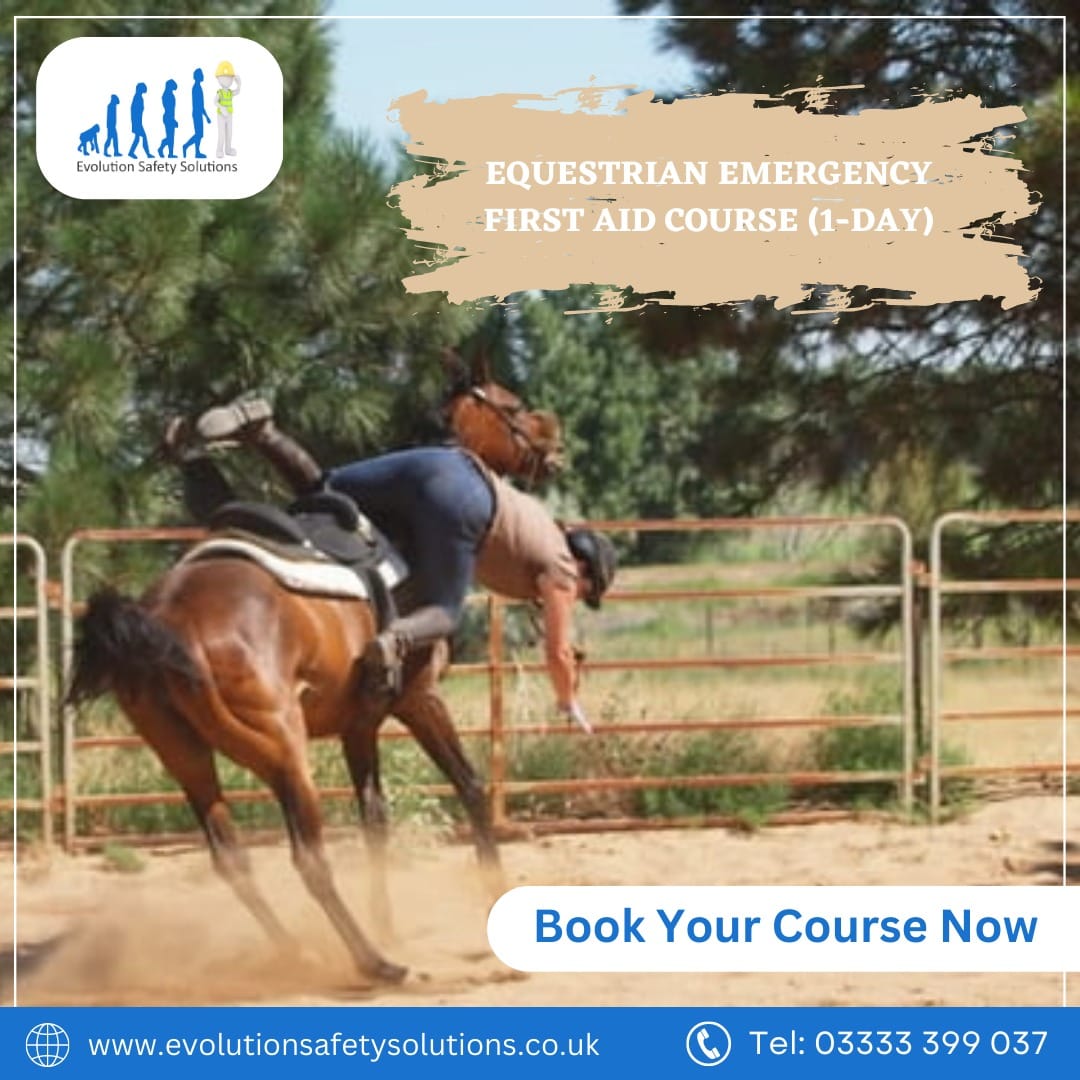 Equestrian First Aid Training
