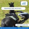 Equestrian First Aid at Work