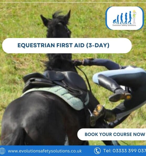 Equestrian First Aid at Work