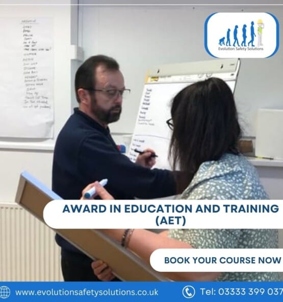 Level 3 Award in Education and Training (AET)