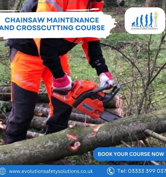 Chainsaw Maintenance & Crosscutting Course