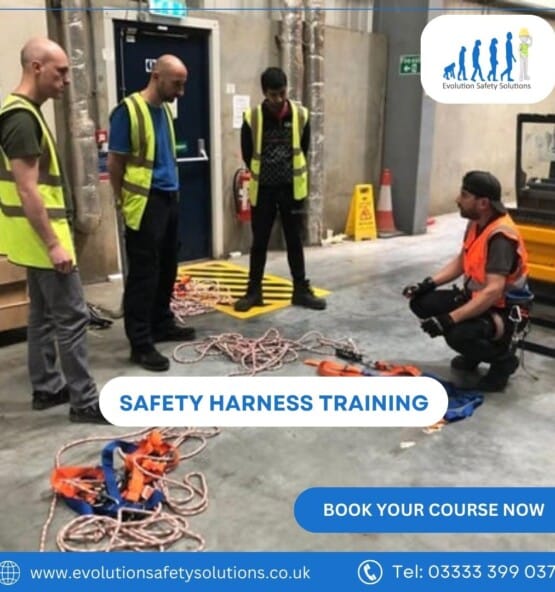 Safety Harness Training