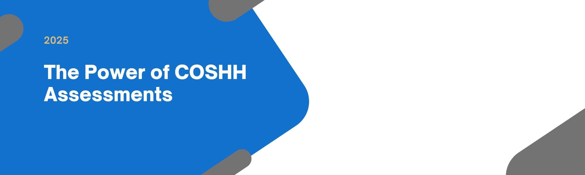 coshh assessment 2025