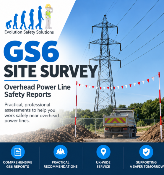 GS6 Site Surveys